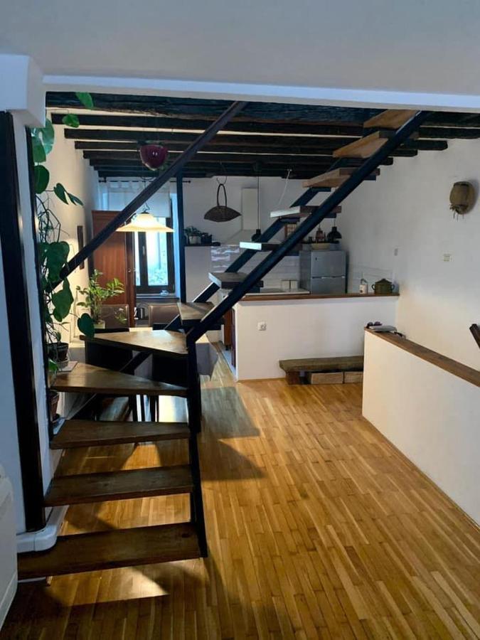 Apartment Capo D'Istria Koper Bagian luar foto