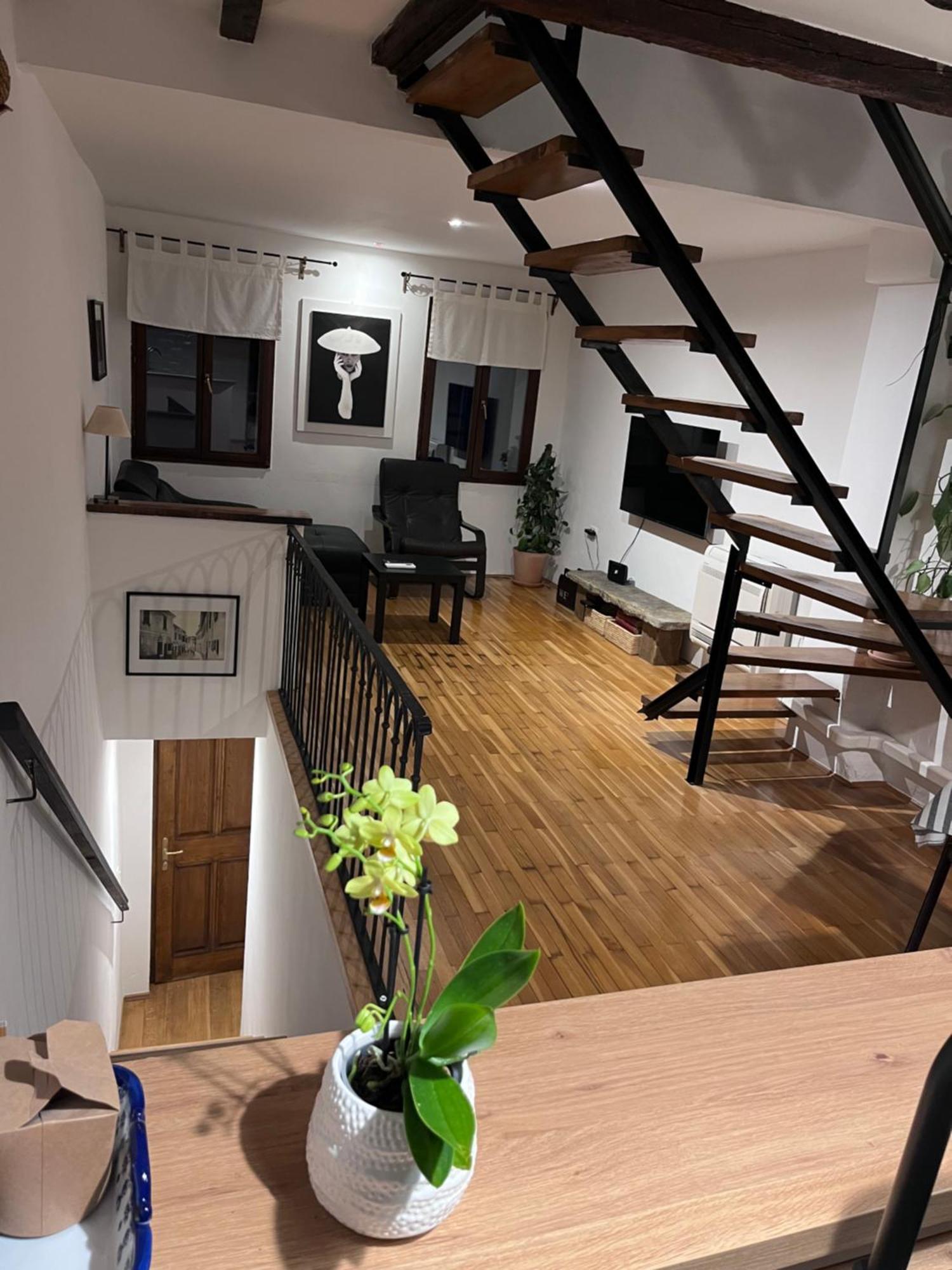Apartment Capo D'Istria Koper Bagian luar foto