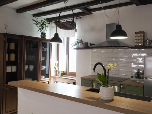 Apartment Capo D'Istria Koper Bagian luar foto